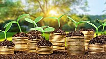Fostering open-source Pros & Cons of non-profit associations in the open-source development sector