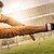 Alive and Kicking TYPO3-Extensions Gridelements, L10mgr und Localizer veröffentlichen Major-Versionen 11.0.0